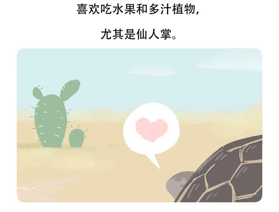《胖达x胖达》第109话 第28页