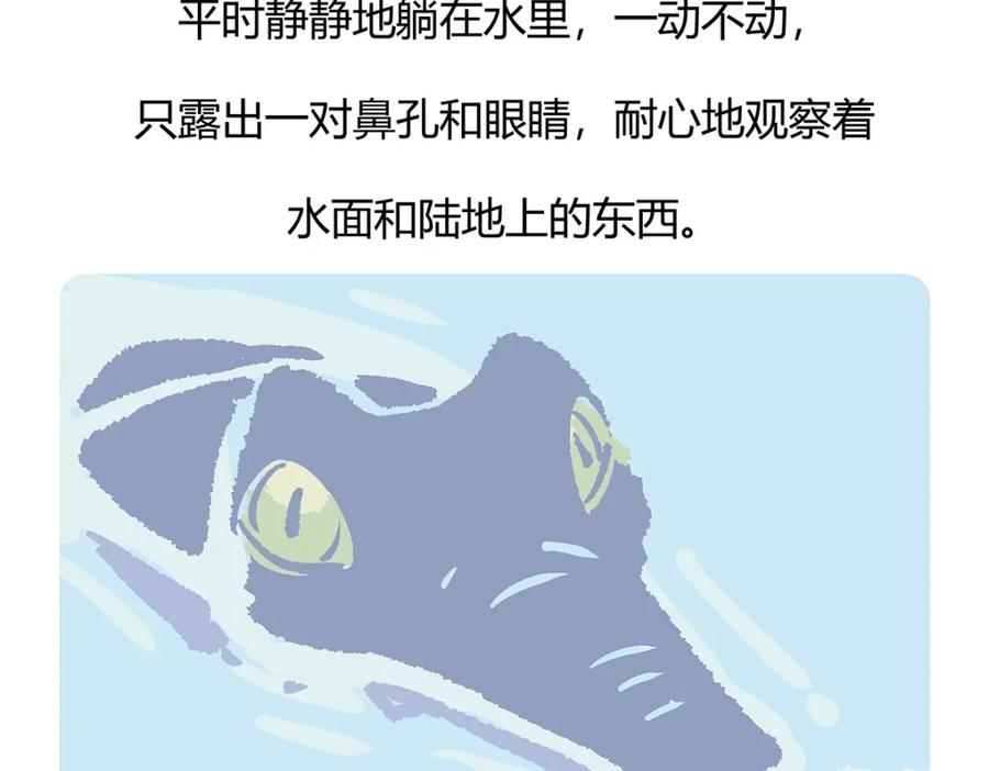 《胖达x胖达》第112话 第28页