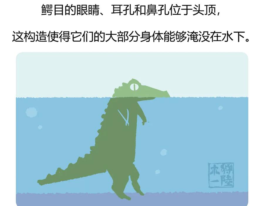 《胖达x胖达》第112话 第30页