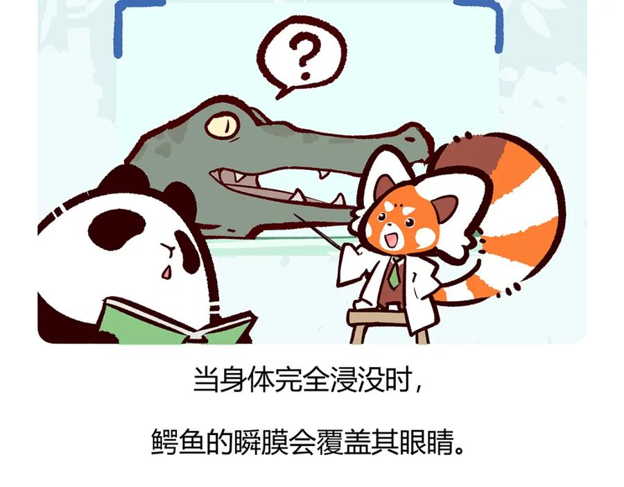 《胖达x胖达》第113话 第26页