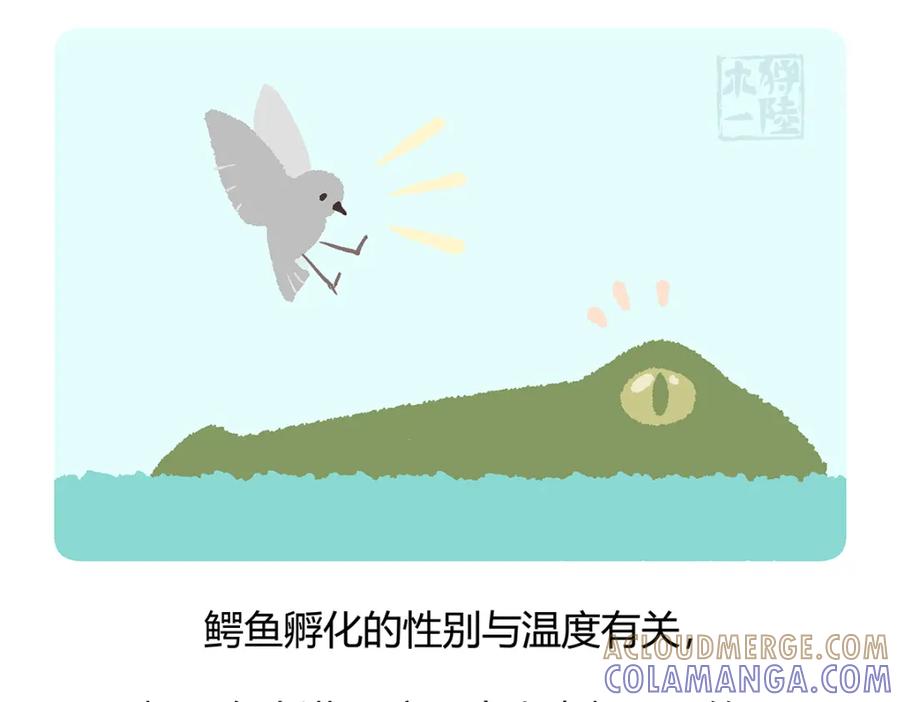 《胖达x胖达》第113话 第29页
