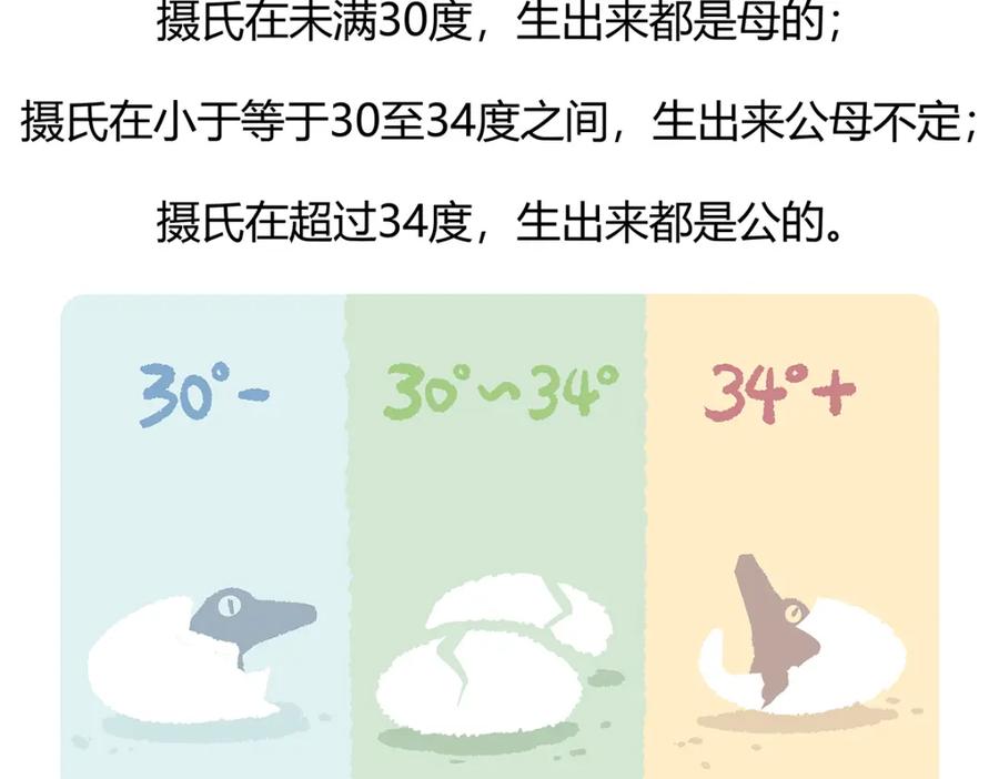 《胖达x胖达》第113话 第30页