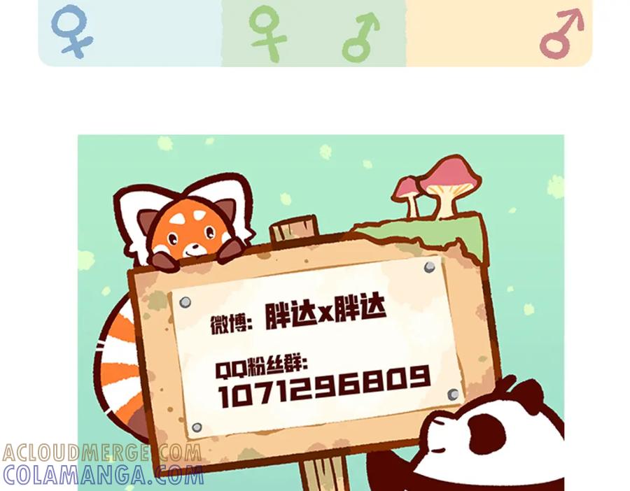 《胖达x胖达》第113话 第31页