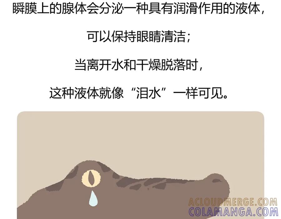 《胖达x胖达》第113话 第27页