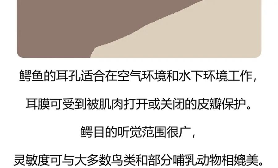 《胖达x胖达》第113话 第28页
