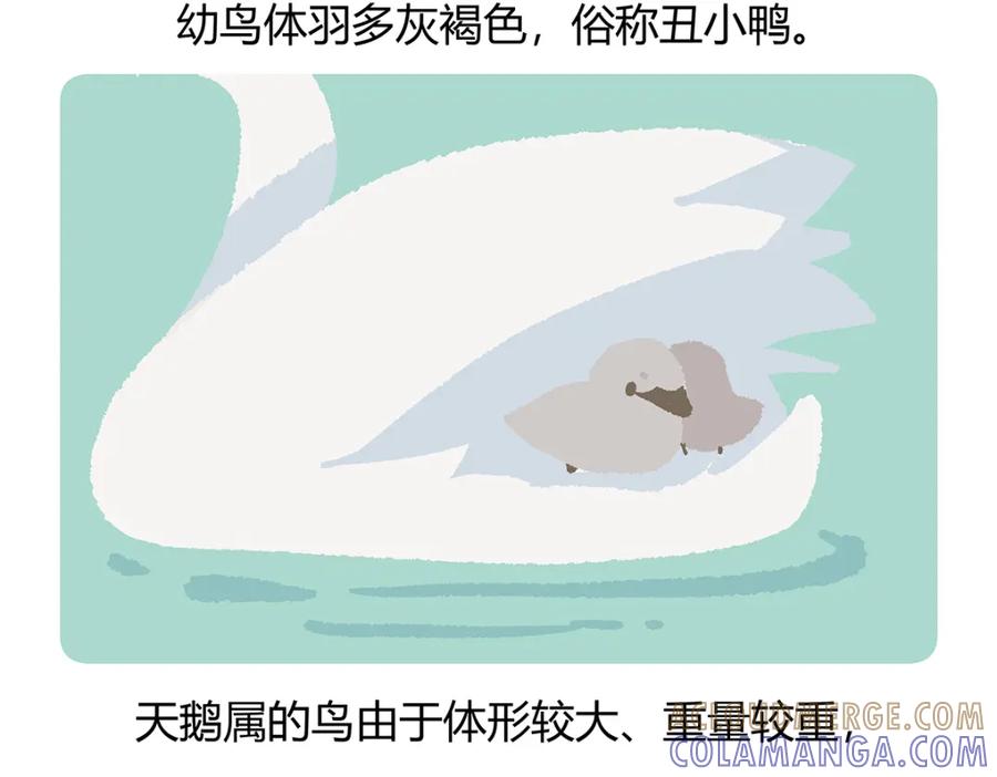 《胖达x胖达》第114话 第27页