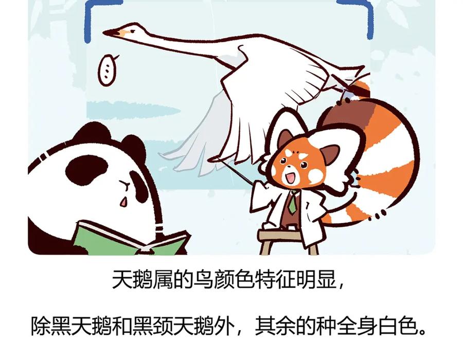 《胖达x胖达》第114话 第26页