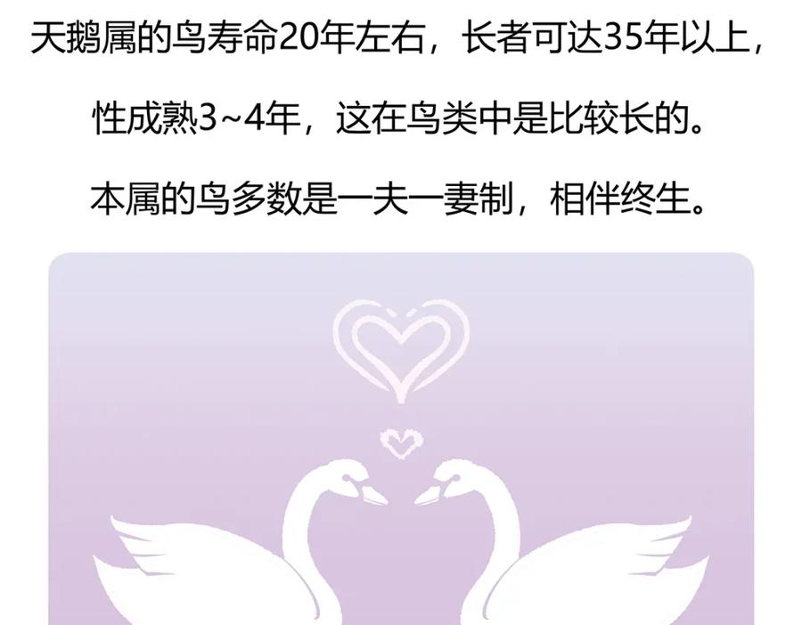 《胖达x胖达》第114话 第30页