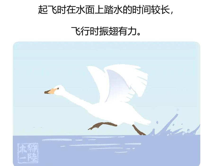 《胖达x胖达》第114话 第28页