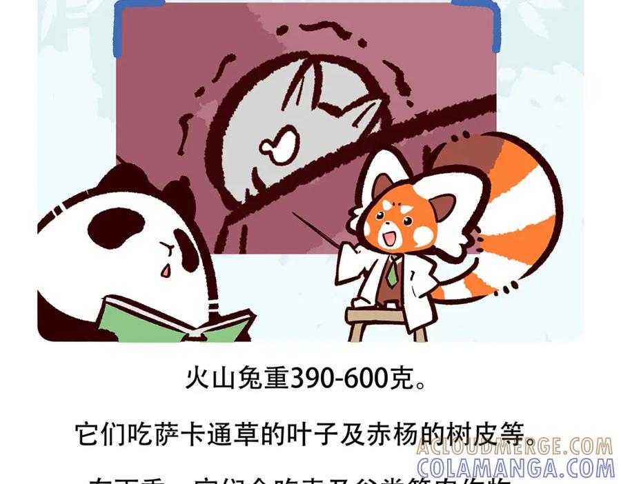 《胖达x胖达》第115话 第27页