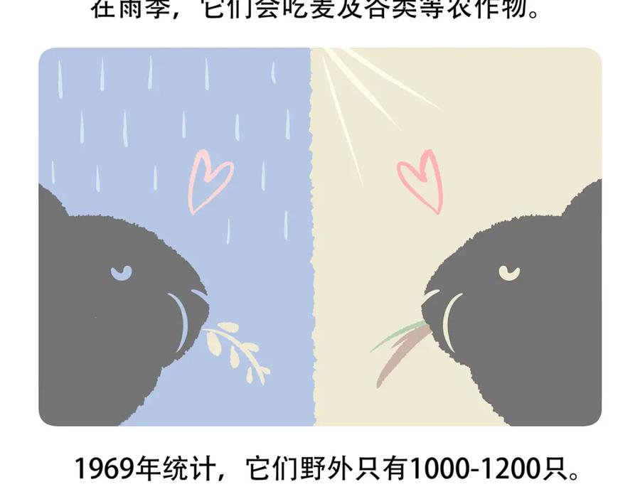 《胖达x胖达》第115话 第28页