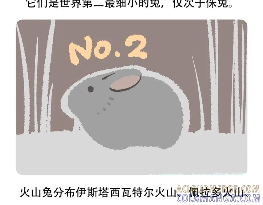 《胖达x胖达》第115话 第21页