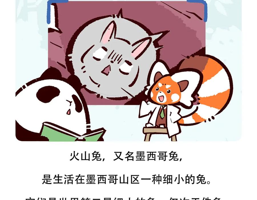 《胖达x胖达》第115话 第20页