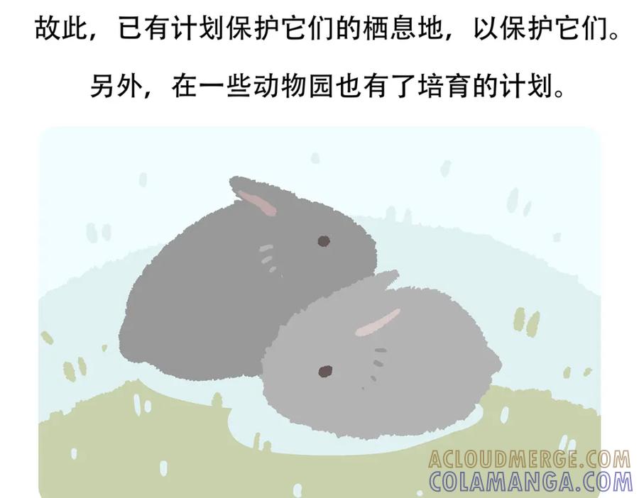 《胖达x胖达》第115话 第31页