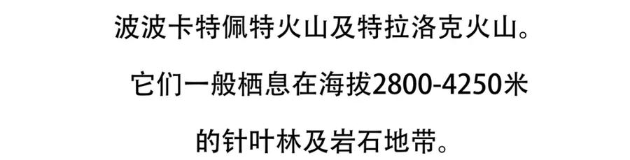《胖达x胖达》第115话 第22页