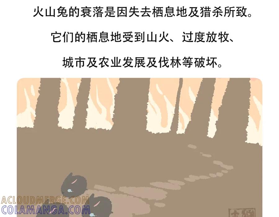 《胖达x胖达》第115话 第29页