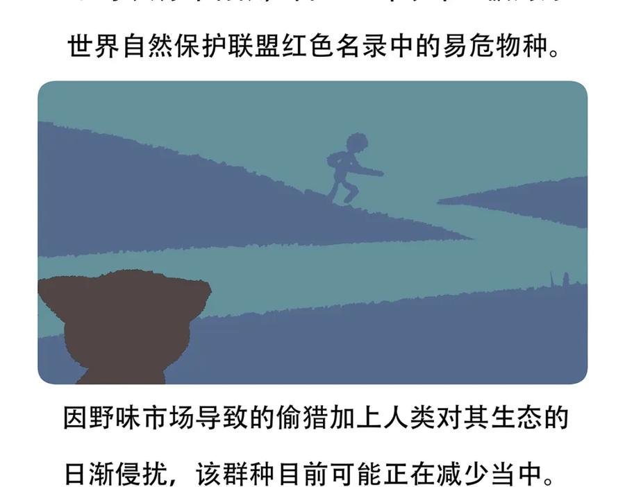 《胖达x胖达》第116话 第28页