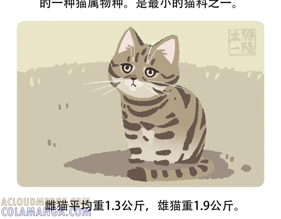 《胖达x胖达》第116话 第25页