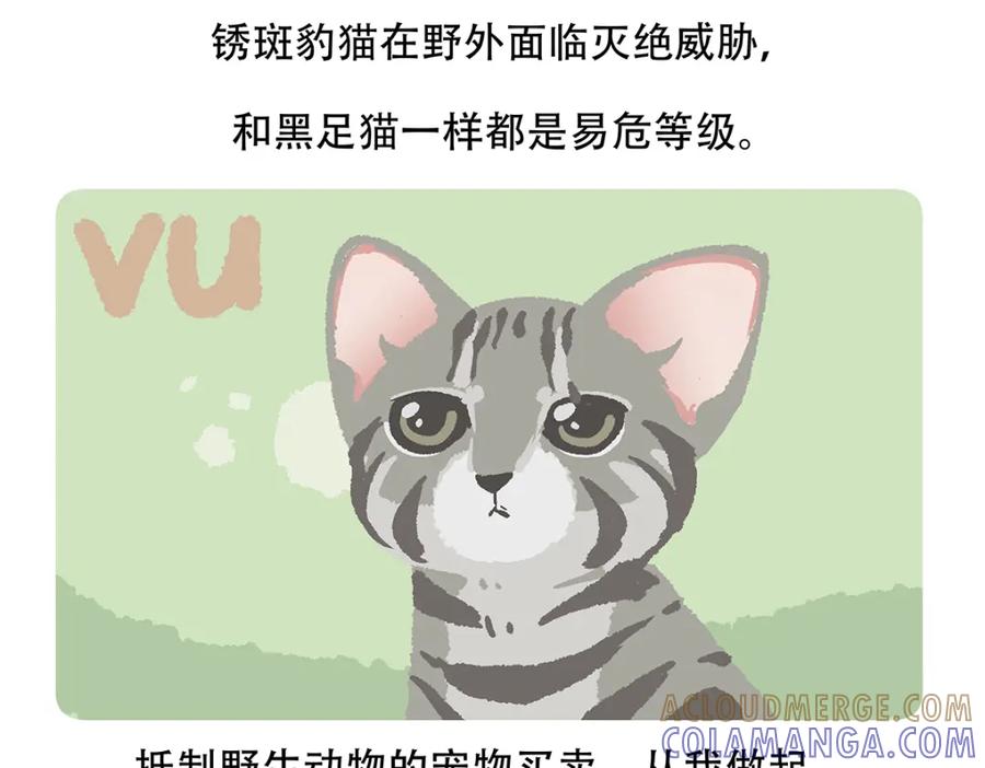 《胖达x胖达》第116话 第35页