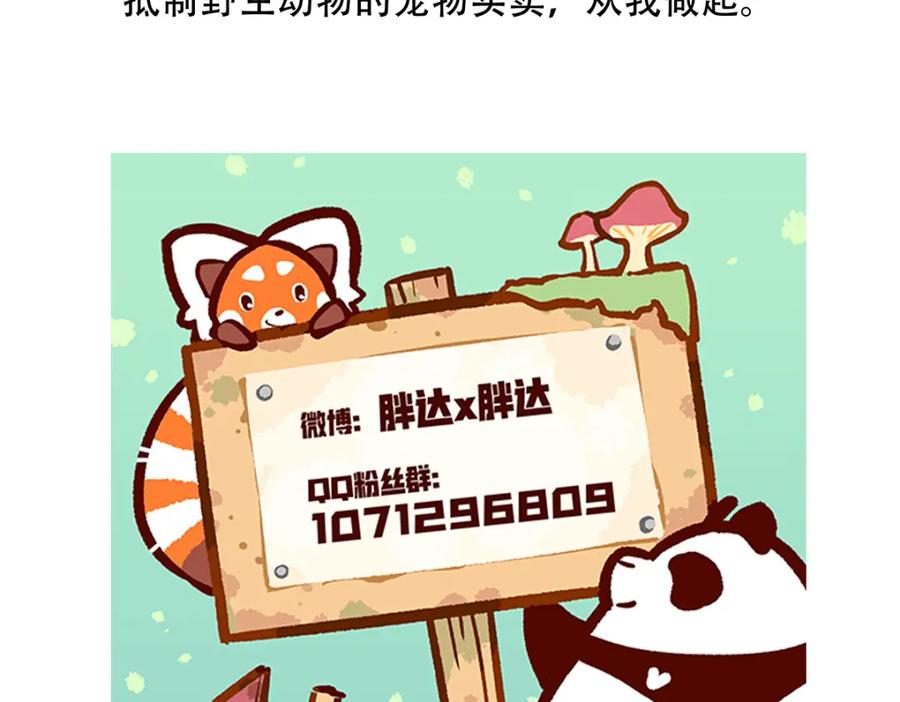 《胖达x胖达》第116话 第36页