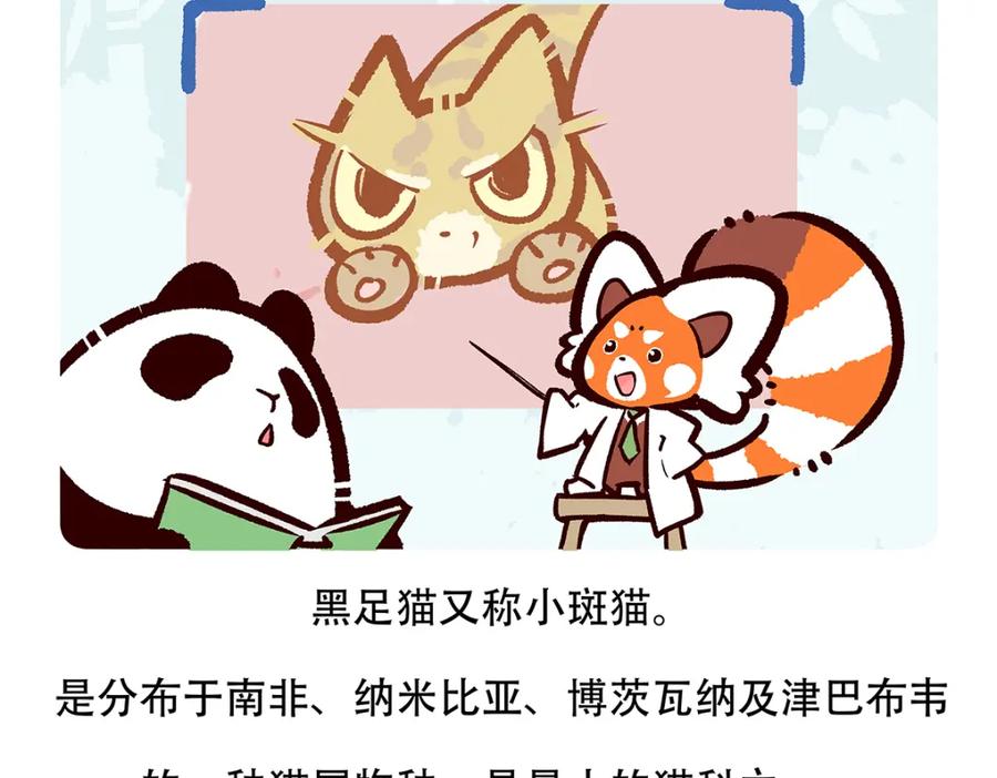 《胖达x胖达》第116话 第24页