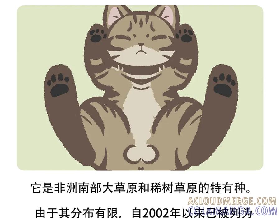 《胖达x胖达》第116话 第27页