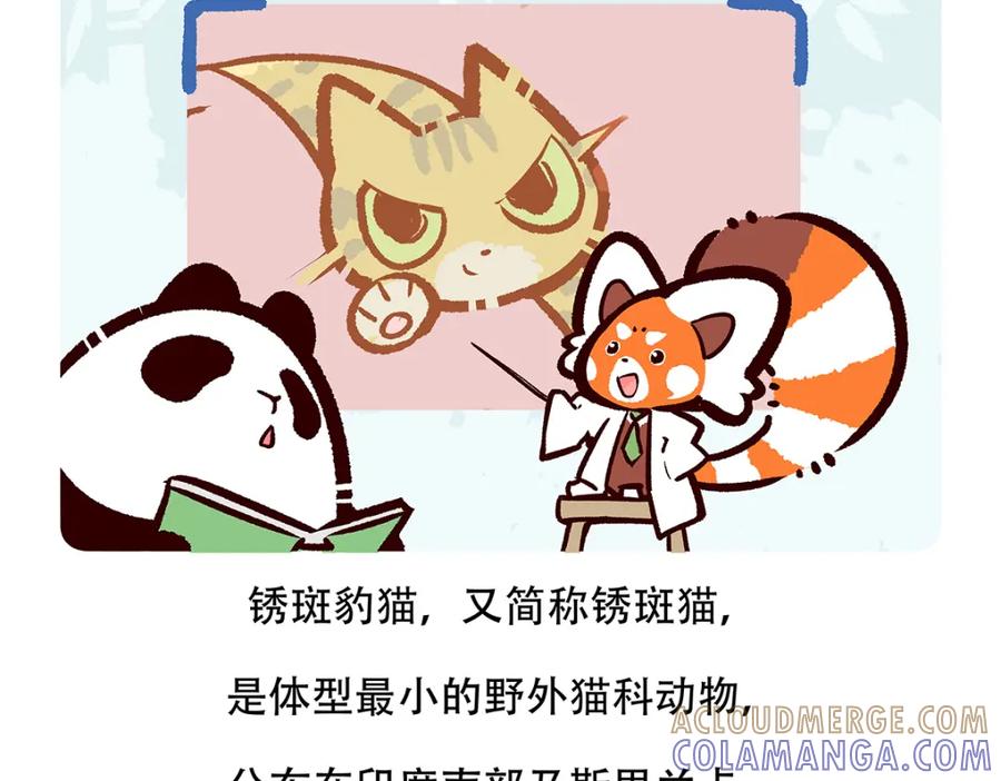 《胖达x胖达》第116话 第31页