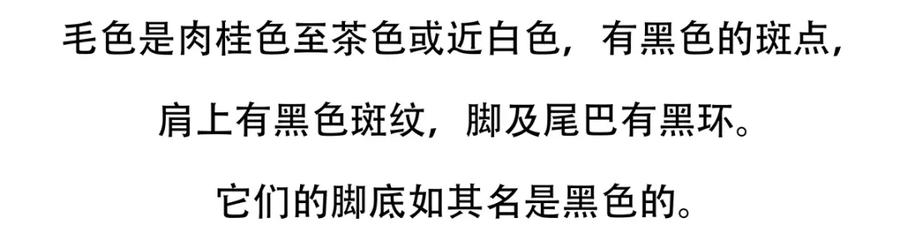 《胖达x胖达》第116话 第26页