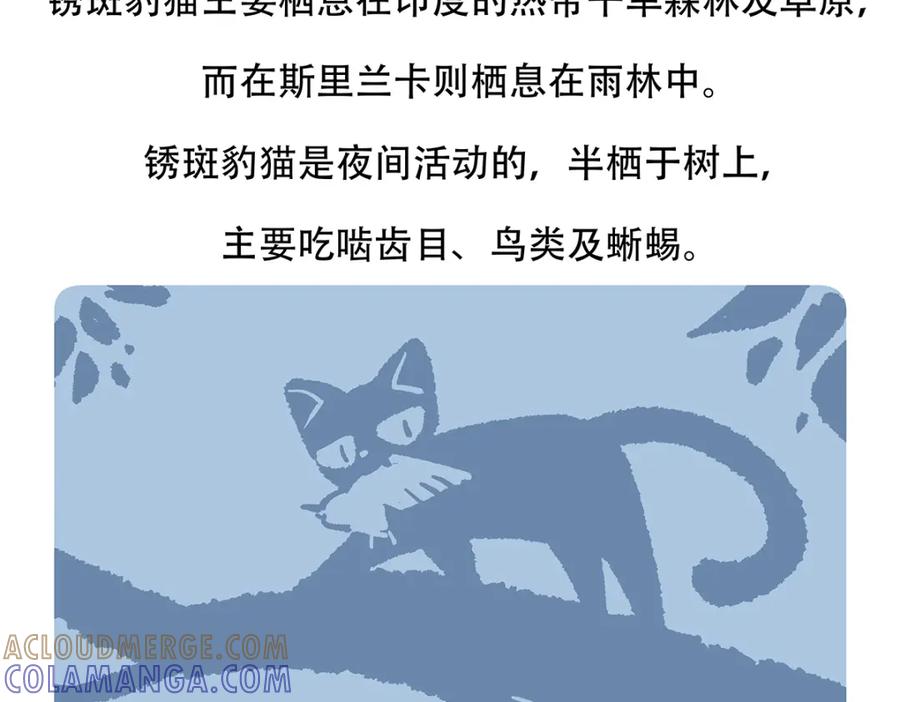 《胖达x胖达》第116话 第33页