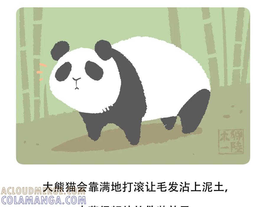 《胖达x胖达》第117话 第27页