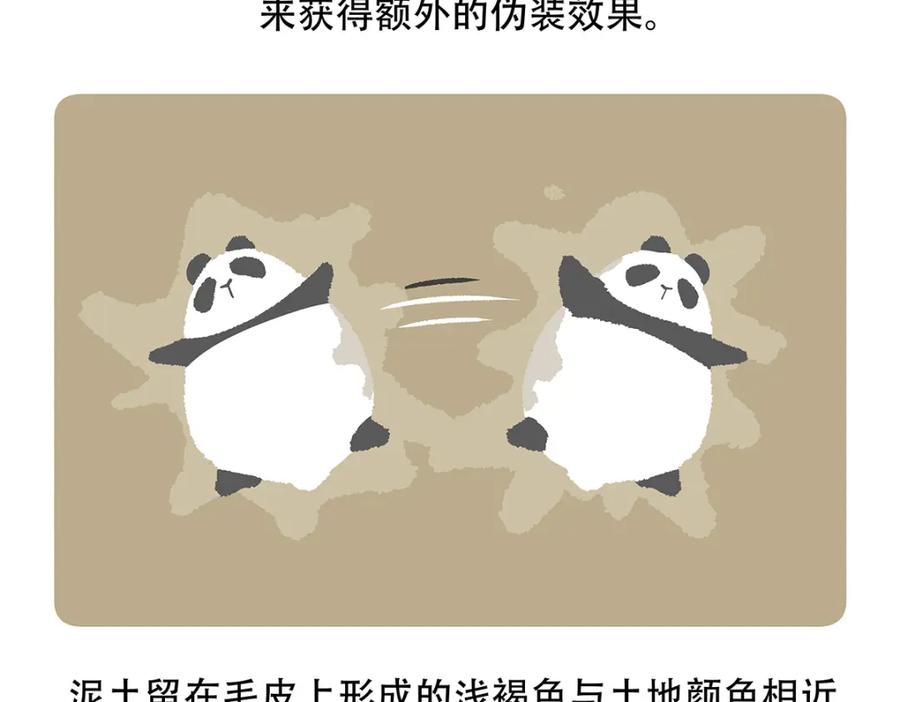 《胖达x胖达》第117话 第28页