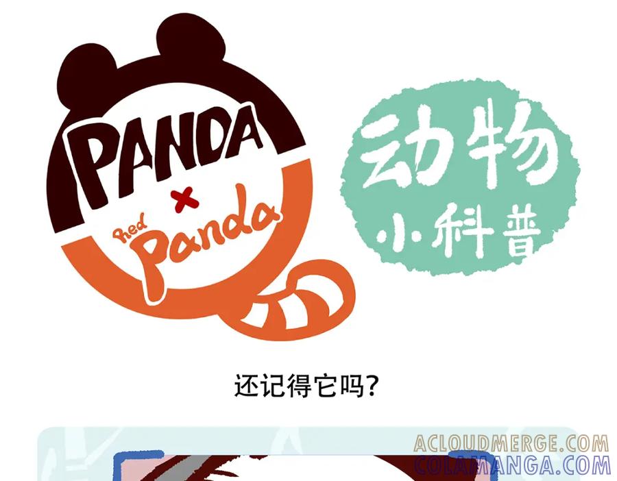 《胖达x胖达》第117话 第25页
