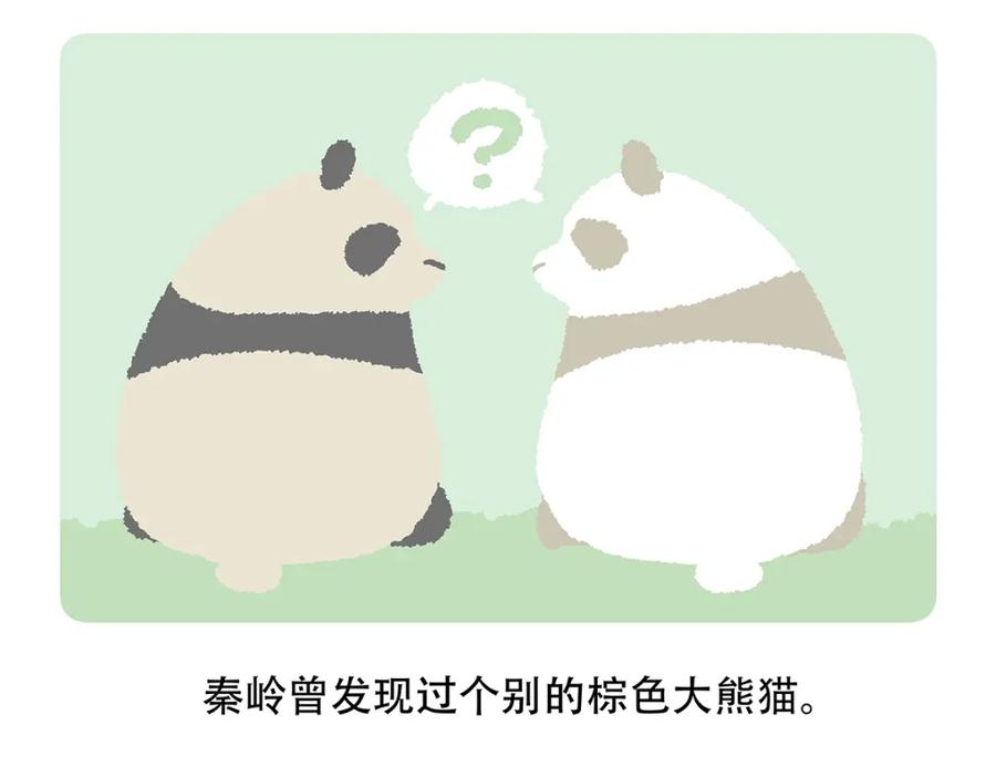 《胖达x胖达》第117话 第30页