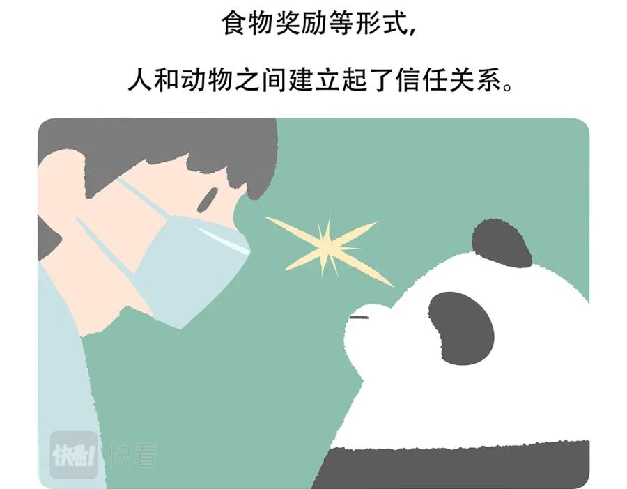 《胖达x胖达》第118话 第28页