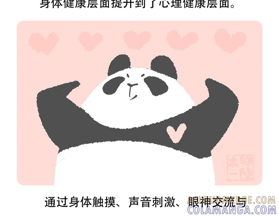《胖达x胖达》第118话 第27页