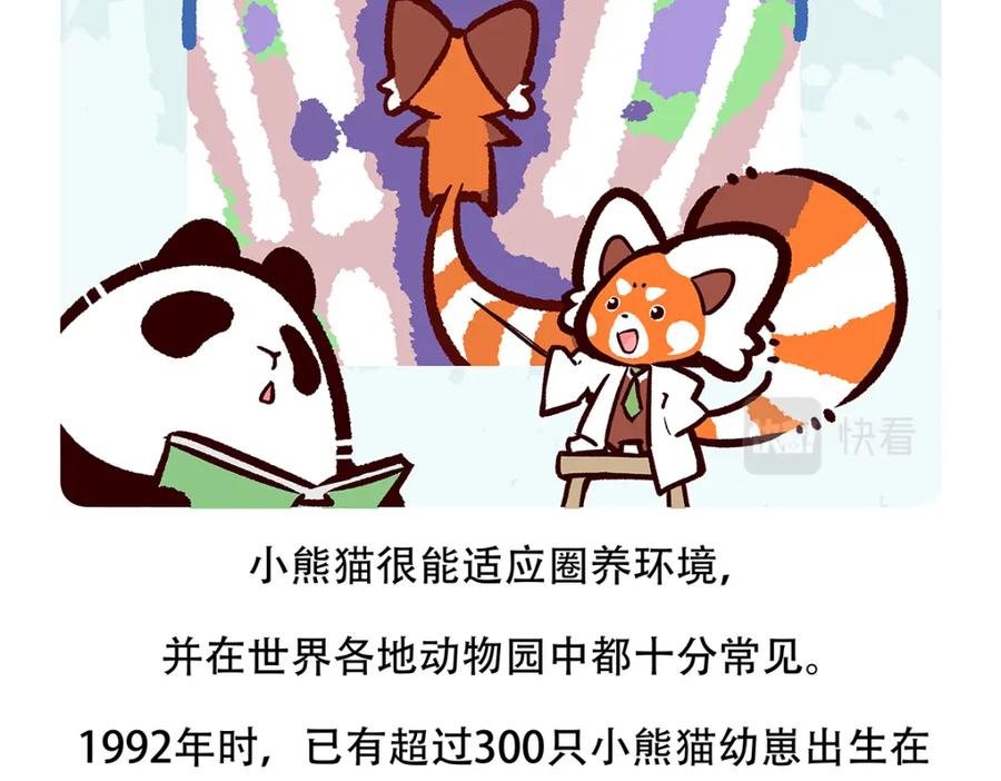 《胖达x胖达》第119话 第26页