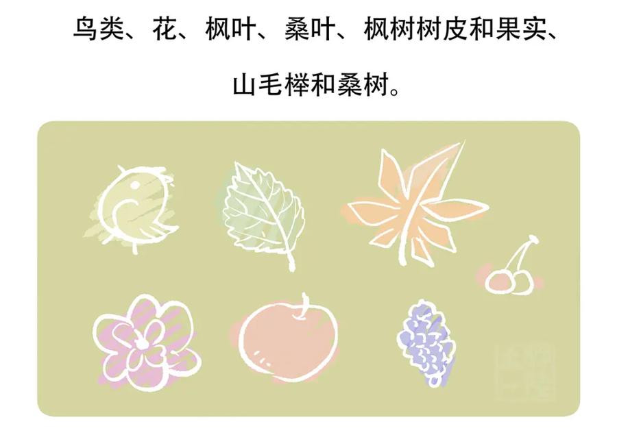 《胖达x胖达》第119话 第28页
