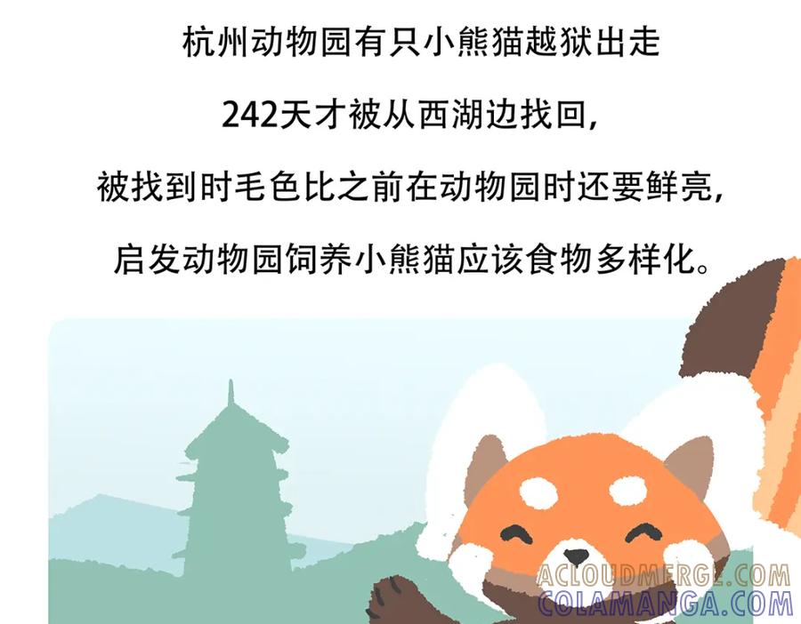 《胖达x胖达》第119话 第29页