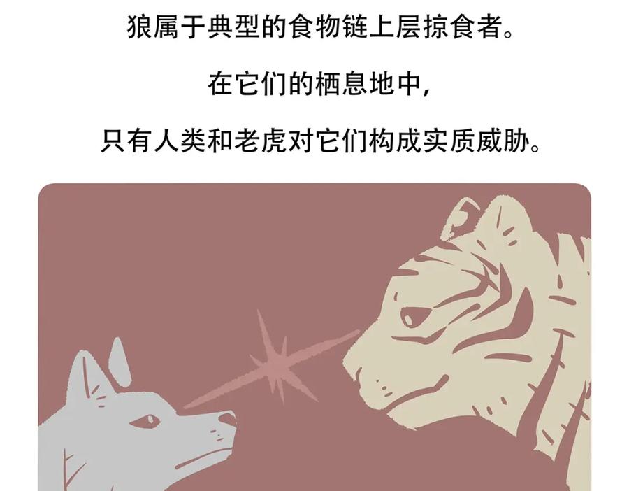 《胖达x胖达》第120话 第30页