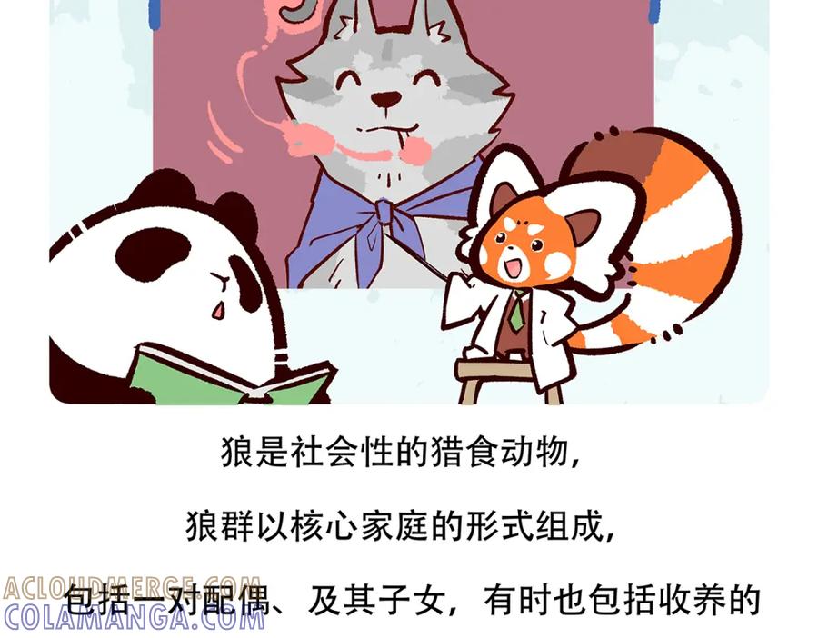 《胖达x胖达》第120话 第27页