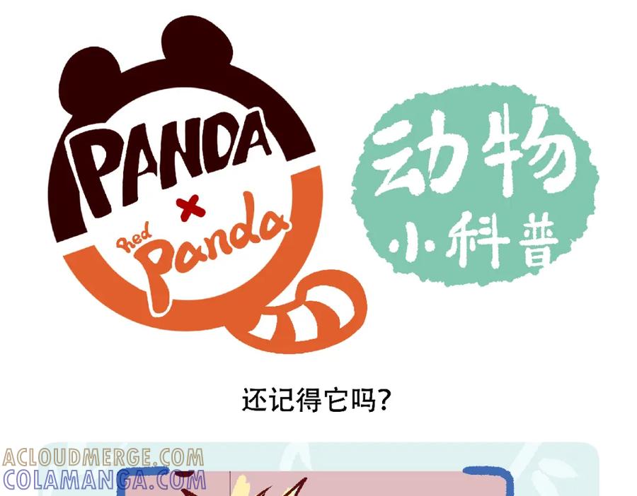 《胖达x胖达》第121话 第25页
