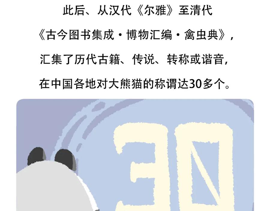 《胖达x胖达》第122话 第30页