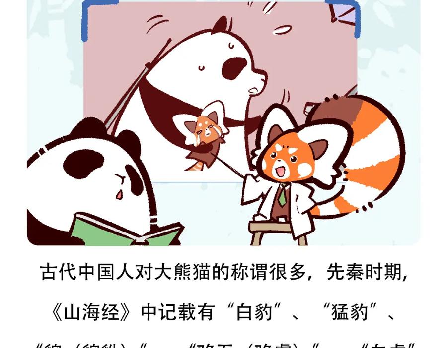 《胖达x胖达》第122话 第26页