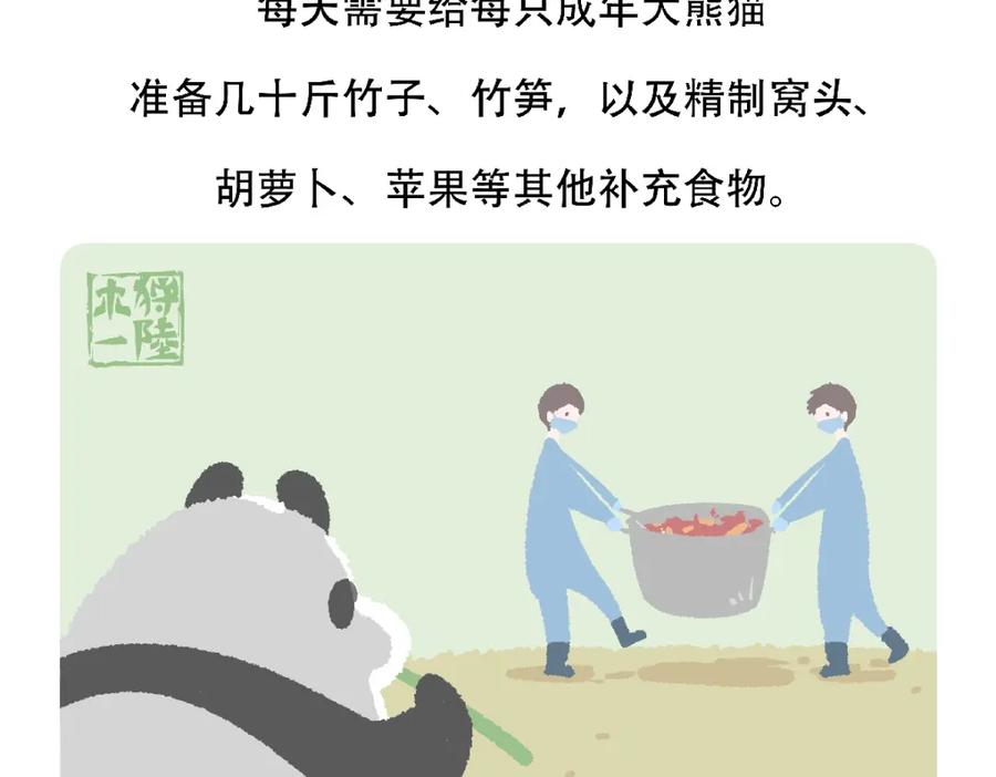 《胖达x胖达》第123话 第28页