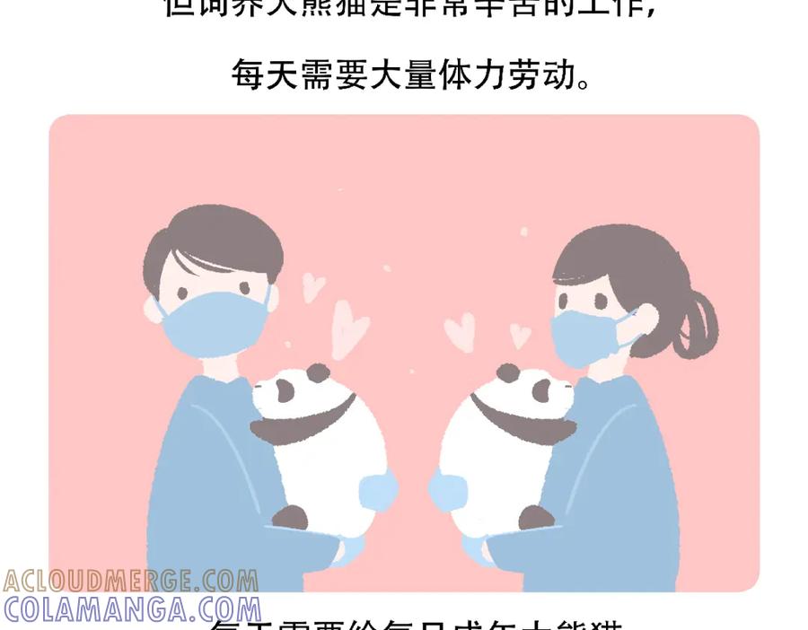 《胖达x胖达》第123话 第27页
