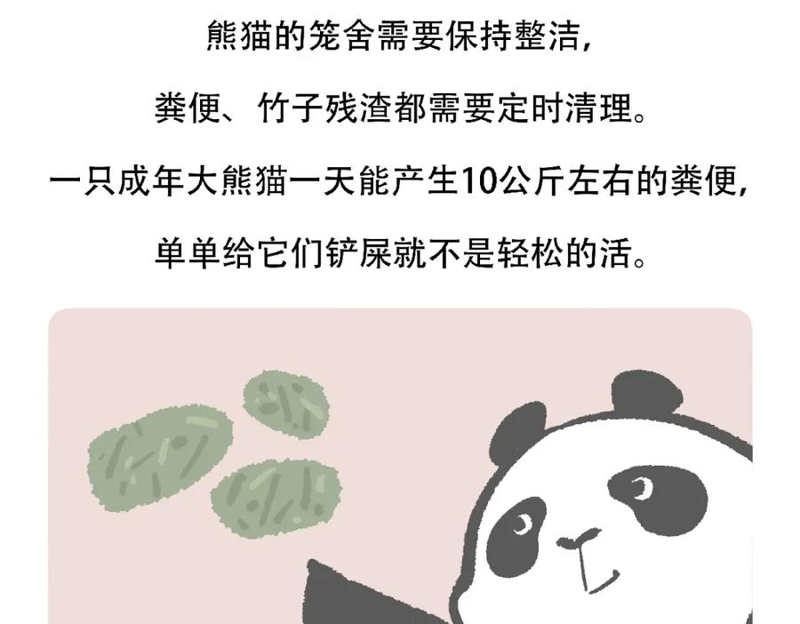《胖达x胖达》第123话 第30页