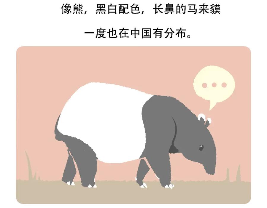《胖达x胖达》第124话 第30页