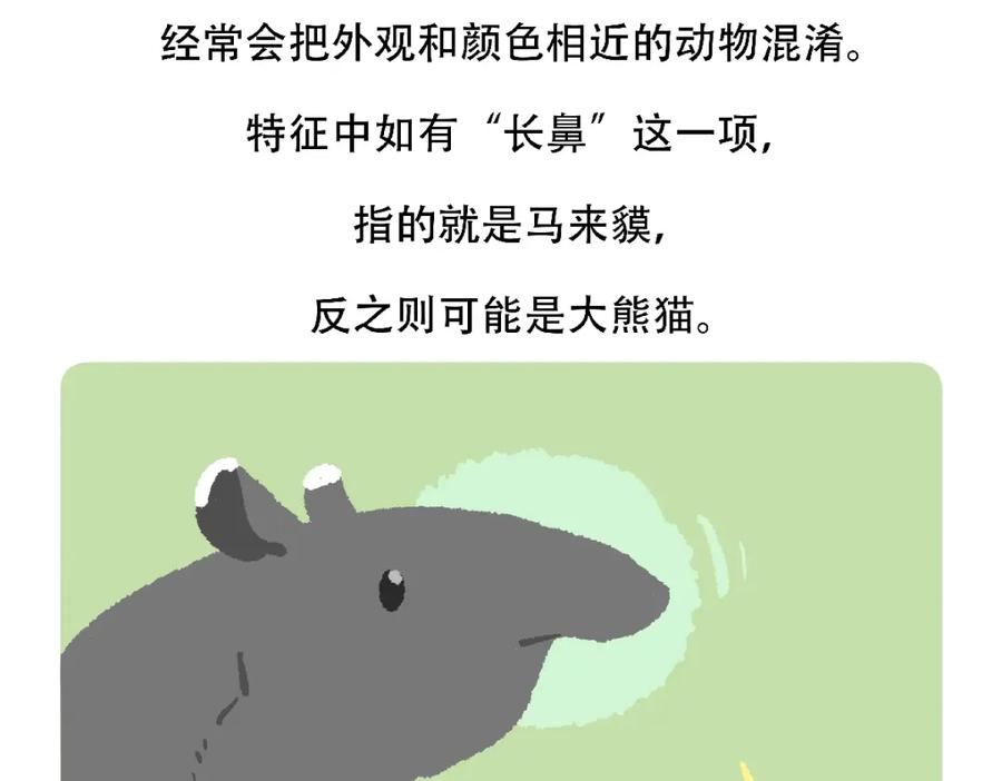 《胖达x胖达》第124话 第28页