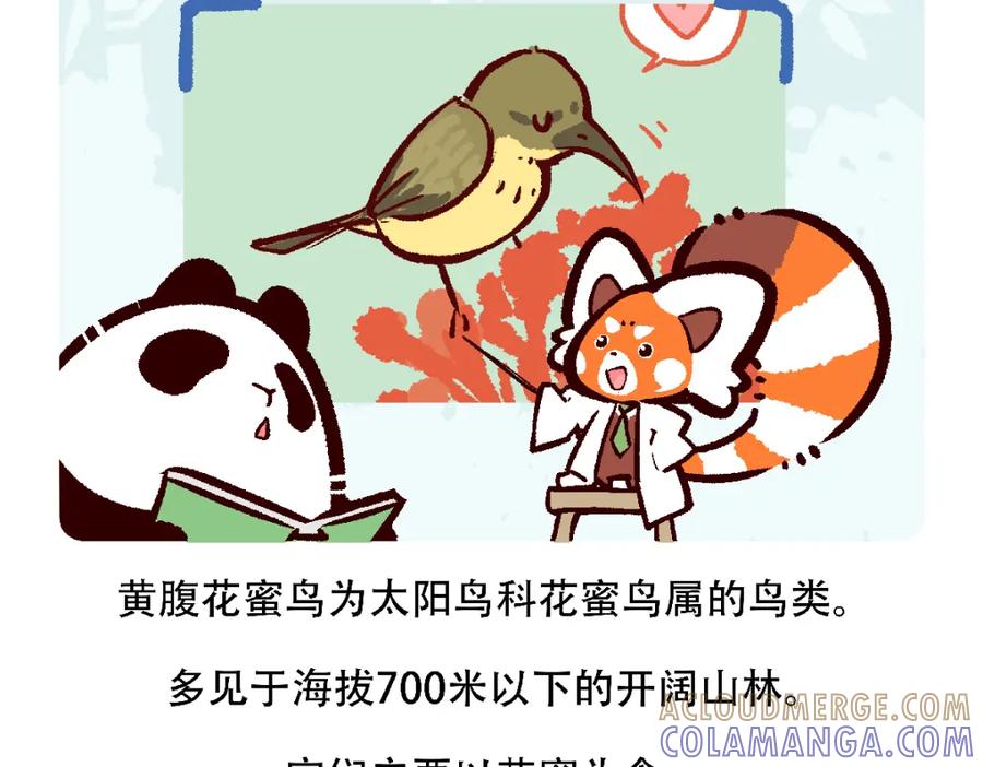 《胖达x胖达》第126话 第27页
