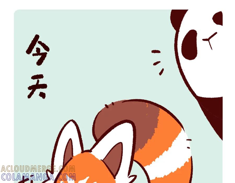 《胖达x胖达》第126话 第11页